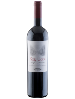 Sor Ugo Bolgheri Superiore 2020 Aia Vecchia