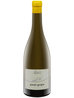Pinot Grigio 2023 Kellerei Andrian