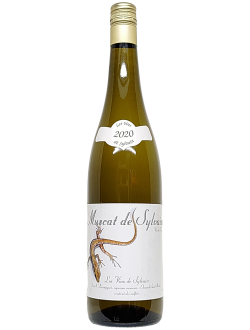 Muscat de Sylvains 2020 Les Vins de Sylvain