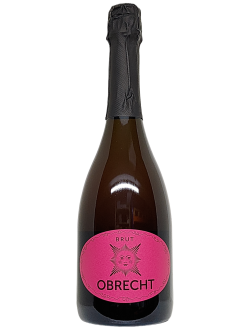 Obrecht BRUT Weingut Obrecht