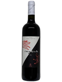 Cinghiale 2016 Vedi Torre