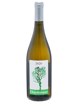 Chardonnay 2020 Fattoria Olmo Antico