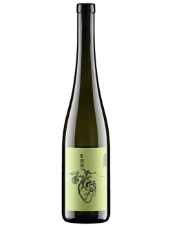 Alavrinho 2022 Das Isch Läbe