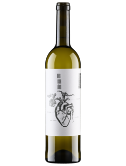 Variedade 2023 Das Isch Läbe