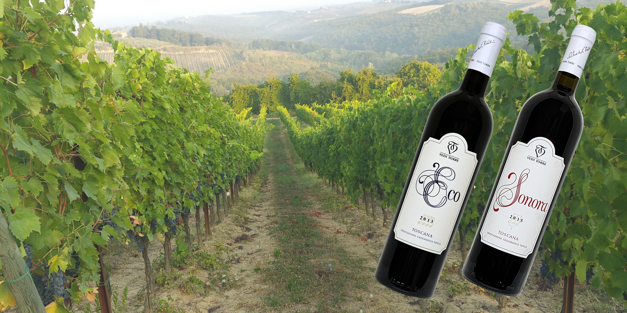 Vedi Torre Banner (1)