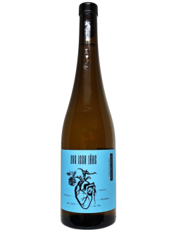 Terroir Maritimo 2025 Das Isch Läbe