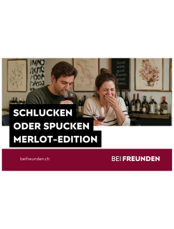 Teilnahme Weindegu "Schlucken oder Spucken" - Merlot-Edition
